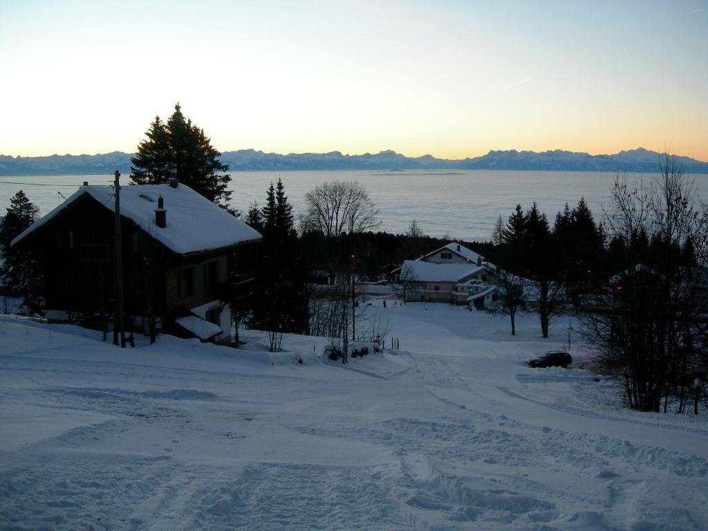Le Coucou Et Chalet Beau-Site Hotel Les Rasses Zewnętrze zdjęcie